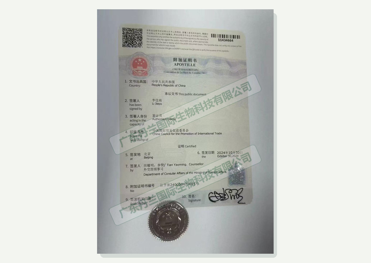 Apostille Authentication certificate document