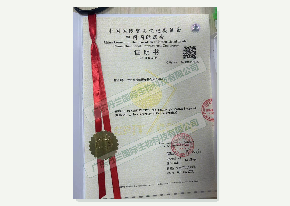 CCPIT Certification certificate document